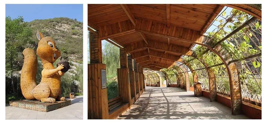 凯发·k8(中国区)官方网站