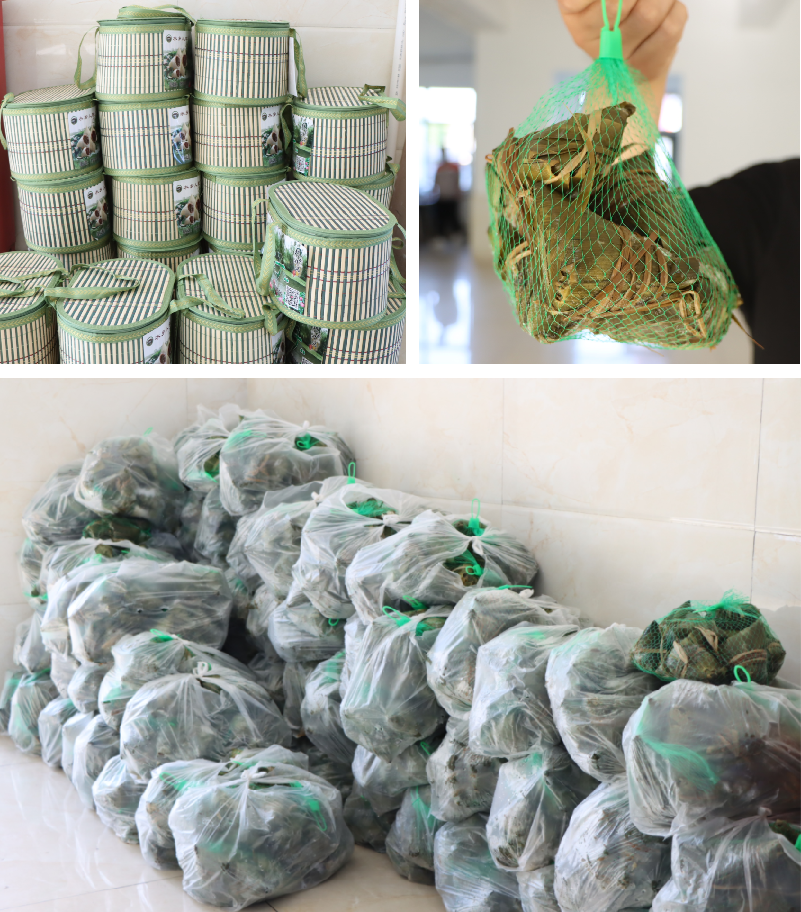 凯发·k8(中国区)官方网站